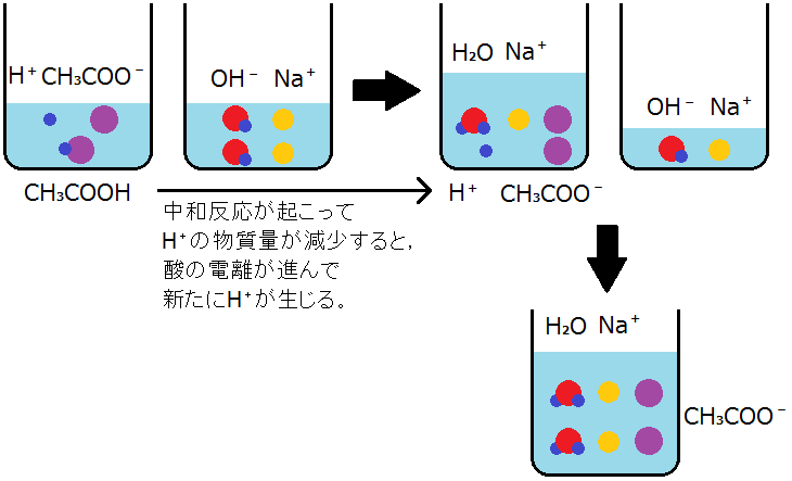 弱酸や弱塩基の中和反応における量的関係