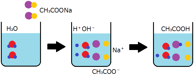 酢酸ナトリウムの加水分解